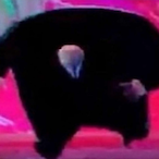 Sormjiggle's Avatar'