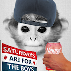rice_chapstick's Avatar'