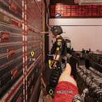BaldToyMaster's Avatar'