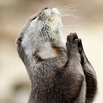 could.u.not's Avatar'