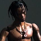 S.Freied's Avatar'