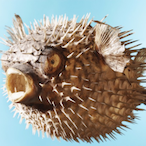 ChunkOBeef's Avatar'