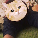 Lichark's Avatar'