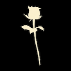 Sinous.'s Avatar'