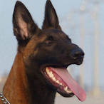 ZbalBoLa's Avatar'