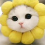 flower_cat124's Avatar'
