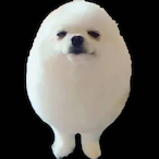 EEEEEE9696's Avatar'