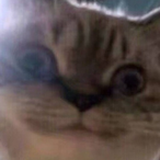 HnDexxxx's Avatar'