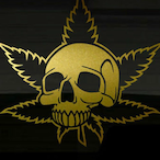 BluColar420Puff's Avatar'