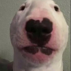 thagoodude's Avatar'