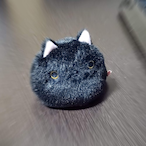 auuooua8879782's Avatar'