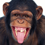EcstaticMonkey's Avatar'