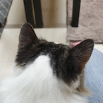 TTxMatteoEra's Avatar'