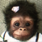 WeeWeeWarrior47's Avatar'