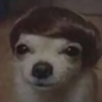 JonnyBoyo4217's Avatar'