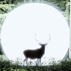 Hgtyuujh6's Avatar'