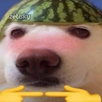 Spiderpool110's Avatar'