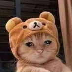 Chiken_Lirul's Avatar'