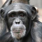 WorldOfTShirt.'s Avatar'