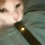 BlockedNickel.'s Avatar'