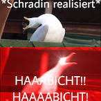 Habicht.hat-2H's Avatar'