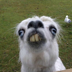 MrMeAtHome's Avatar'
