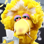 SICK.H5N1's Avatar'
