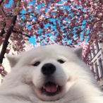 HyperMffin's Avatar'