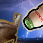 yogurtthunder's Avatar'