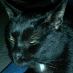 Sw0leDaddy's Avatar'