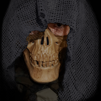 Orvivadasz's Avatar'