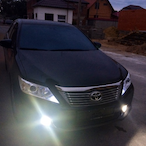 blackbeast.ESPD's Avatar'