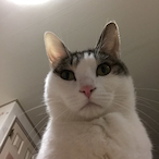 Ben0nRollr's Avatar'
