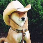 Cowboy_Billy's Avatar'
