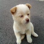 Go_Yang_E's Avatar'