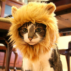 ConnieCough's Avatar'
