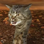 AxelSky's Avatar'