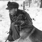 SSSturmmann's Avatar'