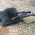 SNIPER.MONKE_'s Avatar'