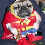 CanoliDealer's Avatar'