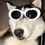 SoleBeatle22815's Avatar'