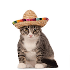 IIIIIlIIllIIIIl's Avatar'