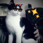 Scarface63-'s Avatar'