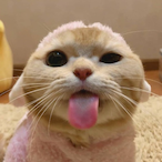 BIGBADSLAPY.RDW's Avatar'