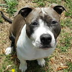 sAsKillerDawN's Avatar