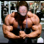 David007988's Avatar'
