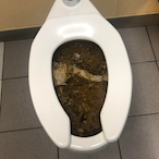 FatPieceOfShit's Avatar'