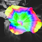 Minibeast54's Avatar