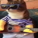 bolindemurango's Avatar'