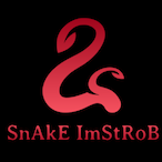 SnAkE-ImStRoB_'s Avatar'